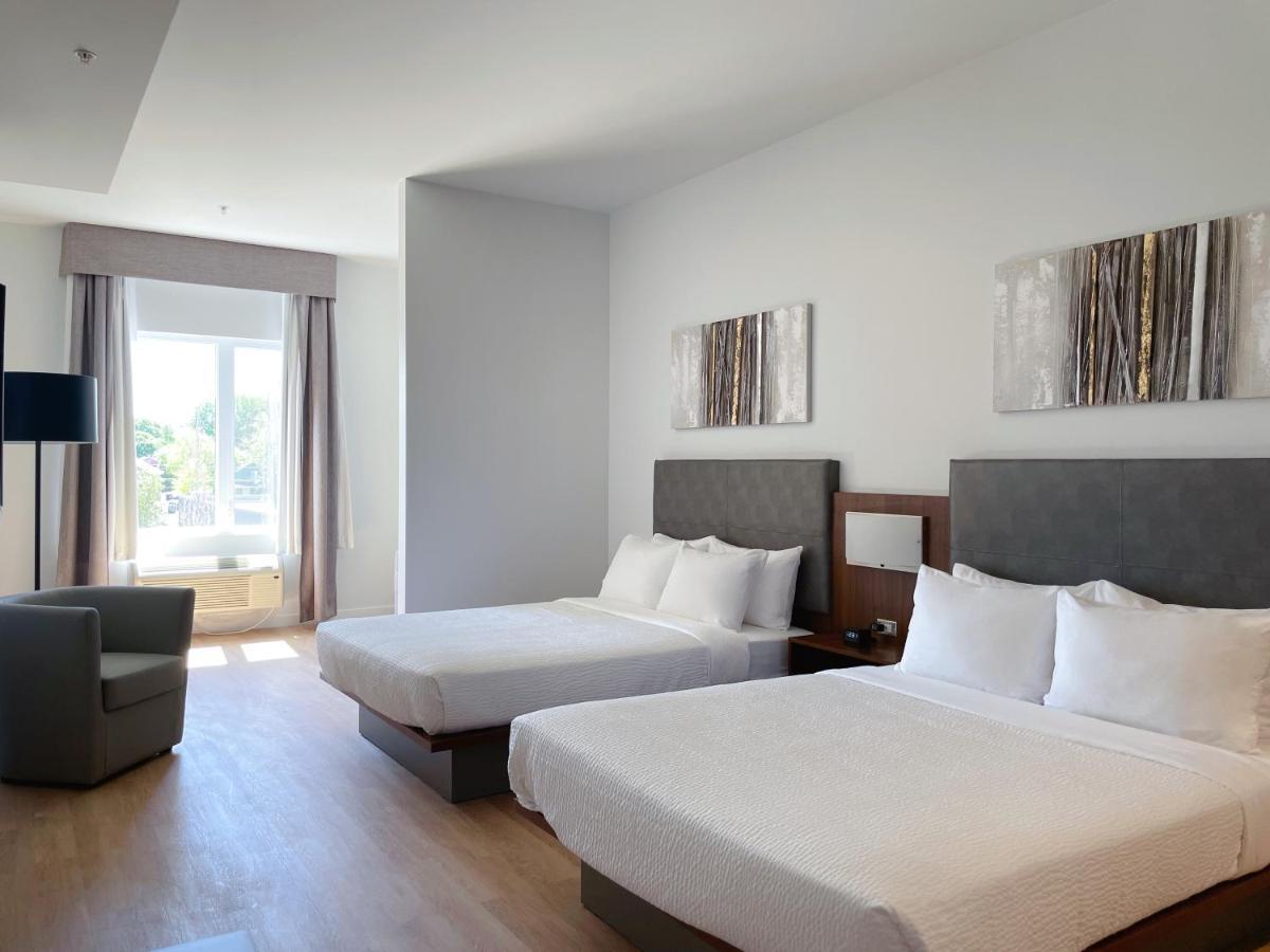 Queen Suite with Sofa Bed  - No Pets/Non Smoking,1632222297:JPEG
