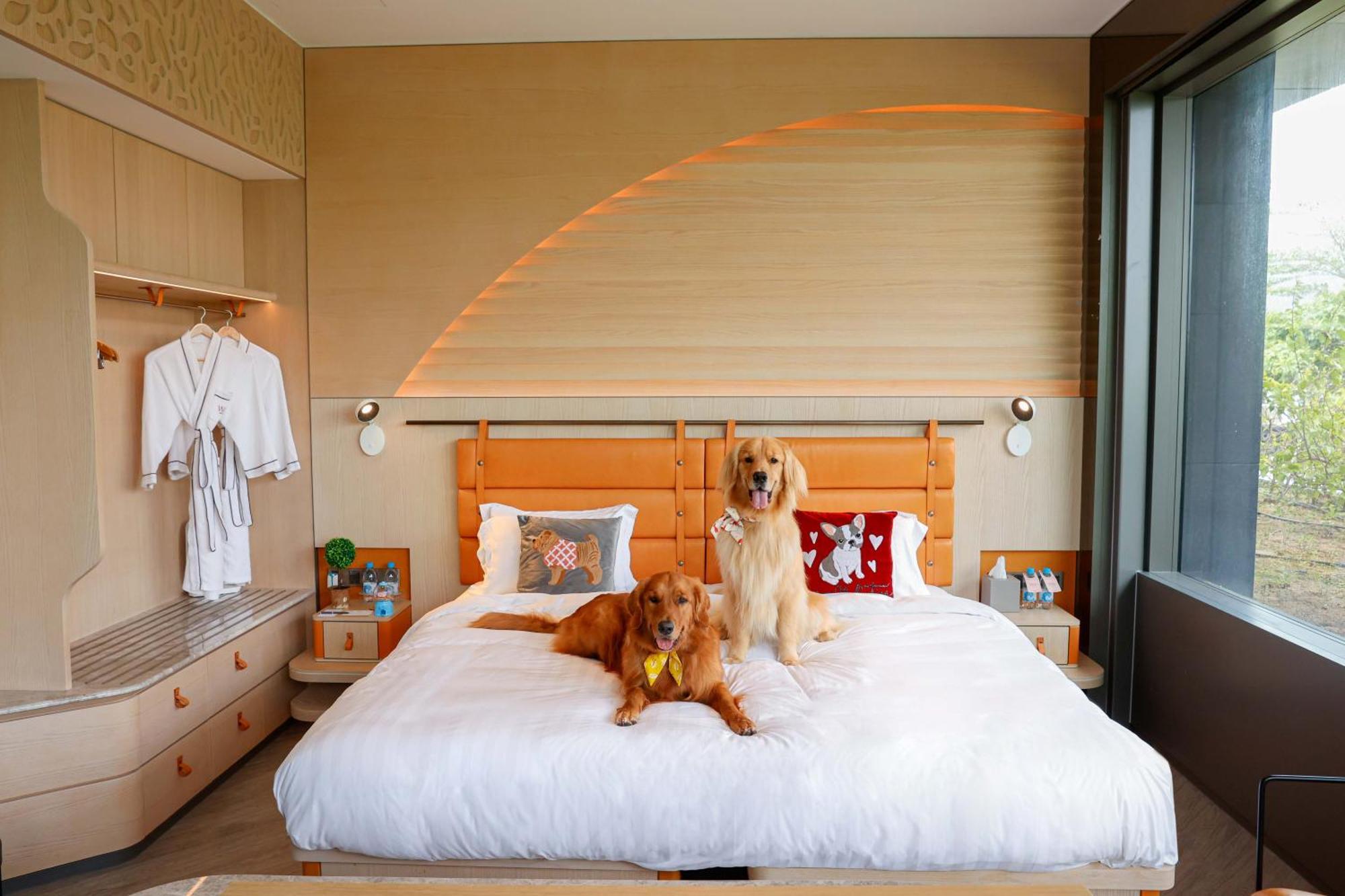 King Suite with Terrace Access - Dog-Friendly