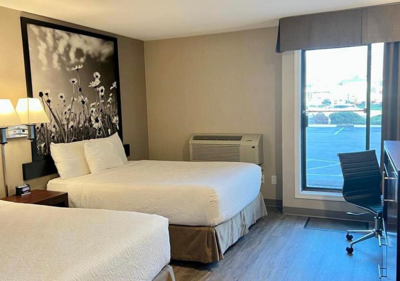 Queen Room Two Queen Beds Non Smoking Pet Friendly,1649023663:JPEG