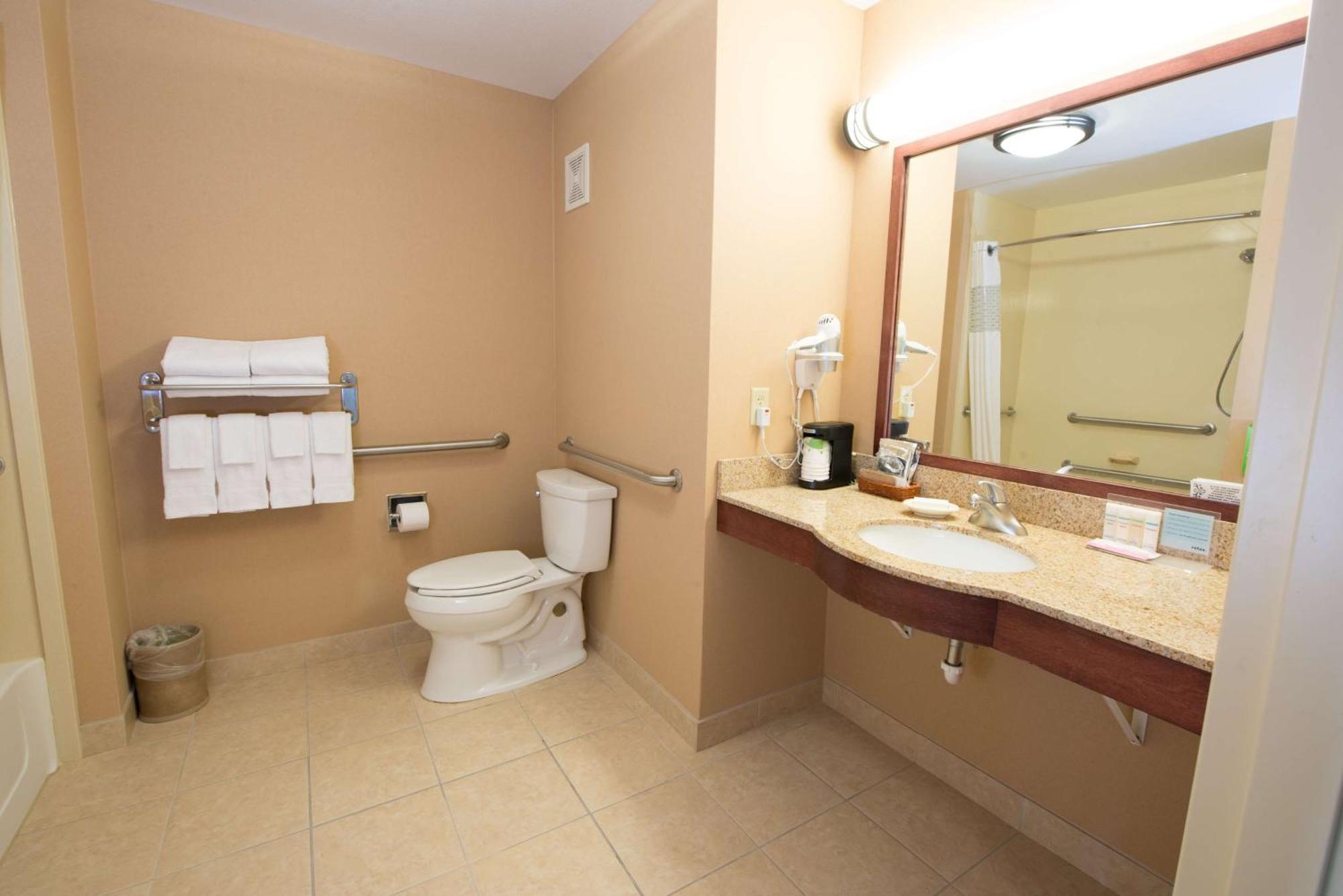 King Room Mobility Access or Non-Smoking