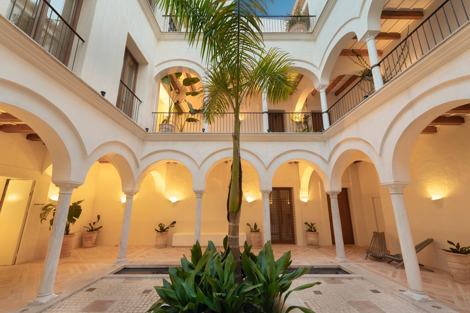 Studio Suite - Planta Baja,1189410226:JPEG
