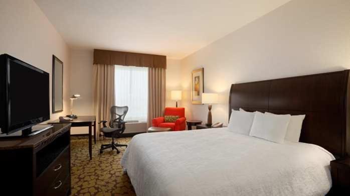 King Room,1551463495:JPEG
