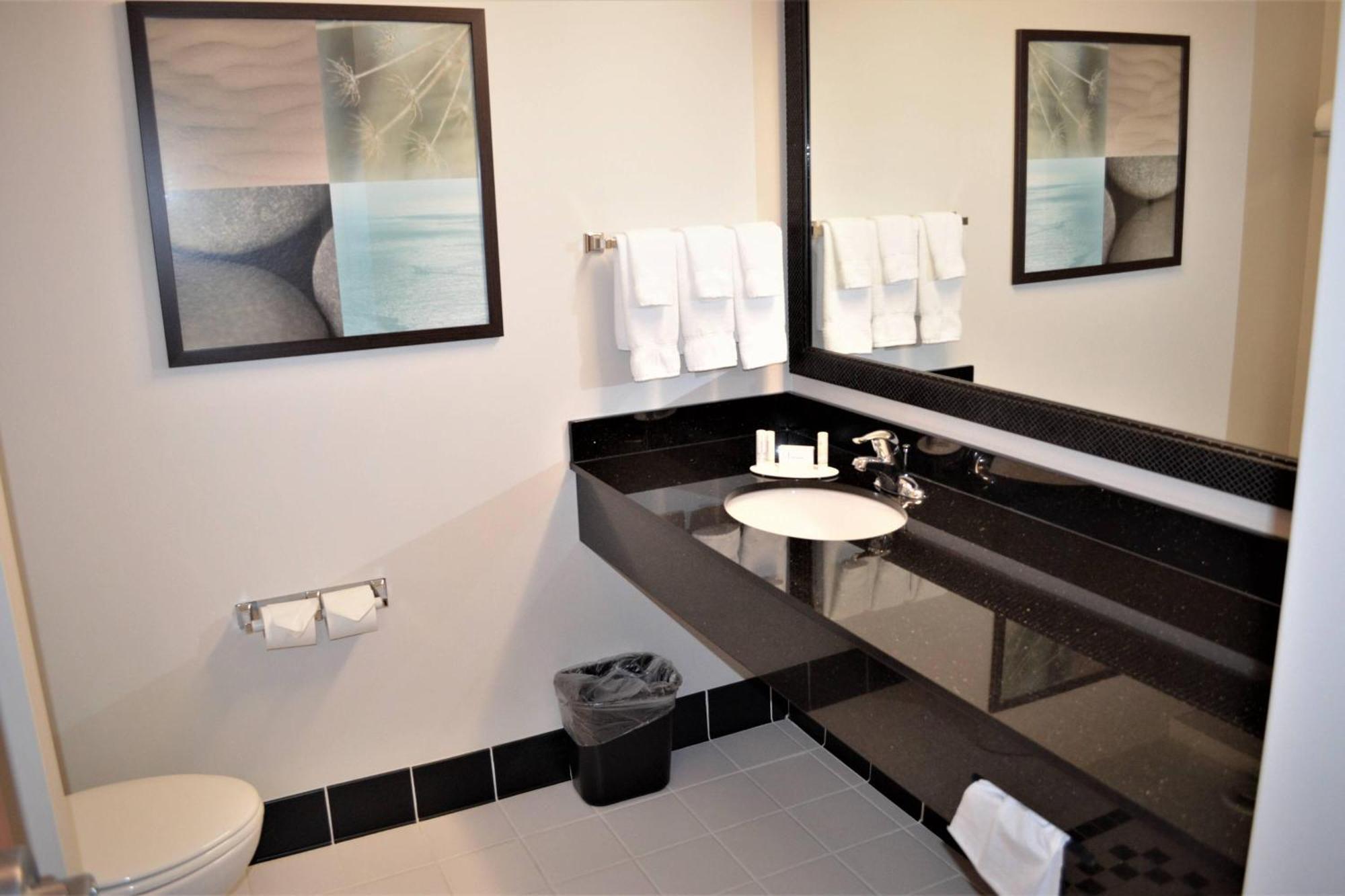 King Suite Bathtub Sofa Bed Mobility Access or Hearing Accessible,1634422423:JPEG