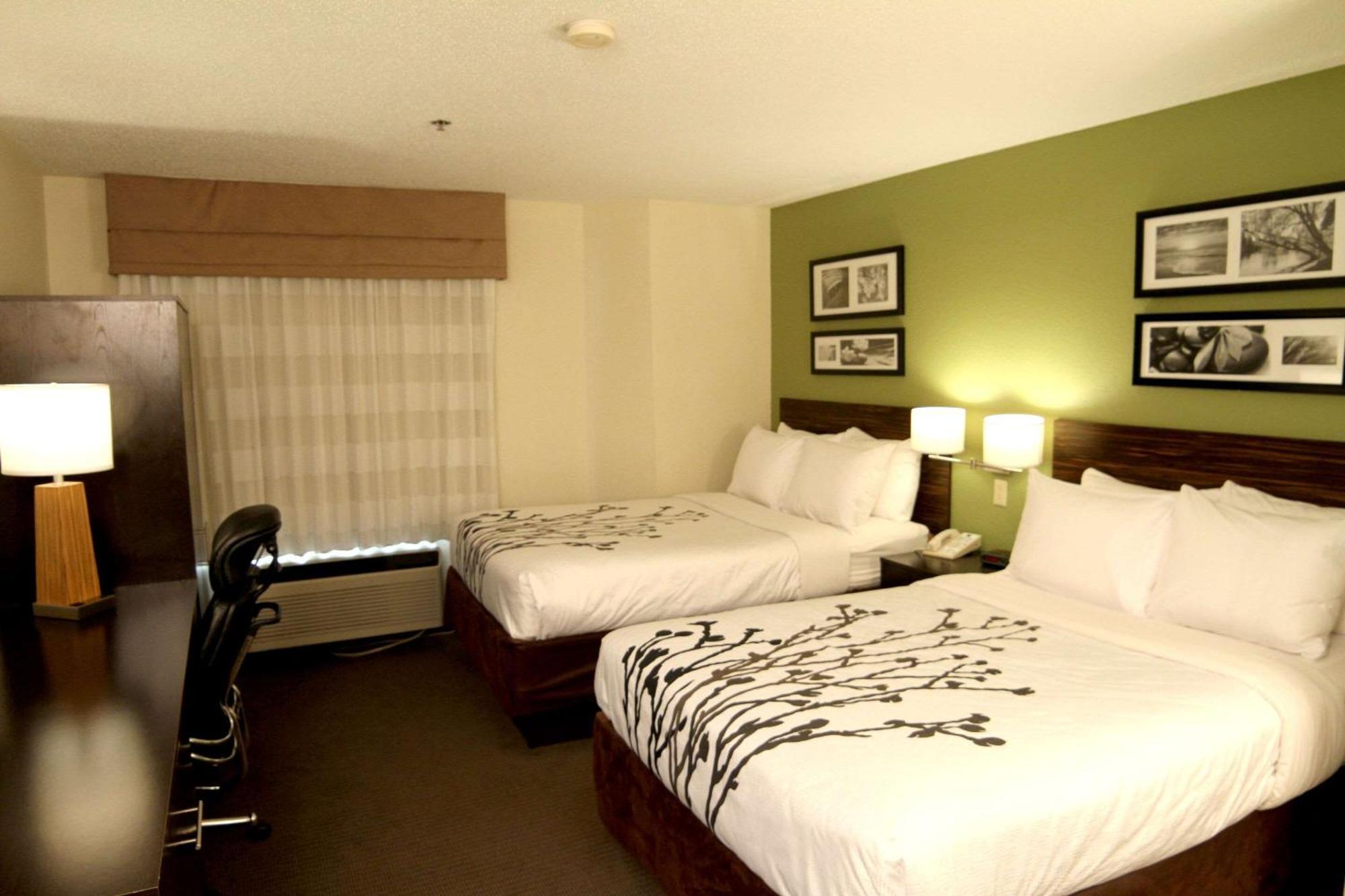 Standard Double Room Two Double Beds Non-Smoking,1636010788:JPEG