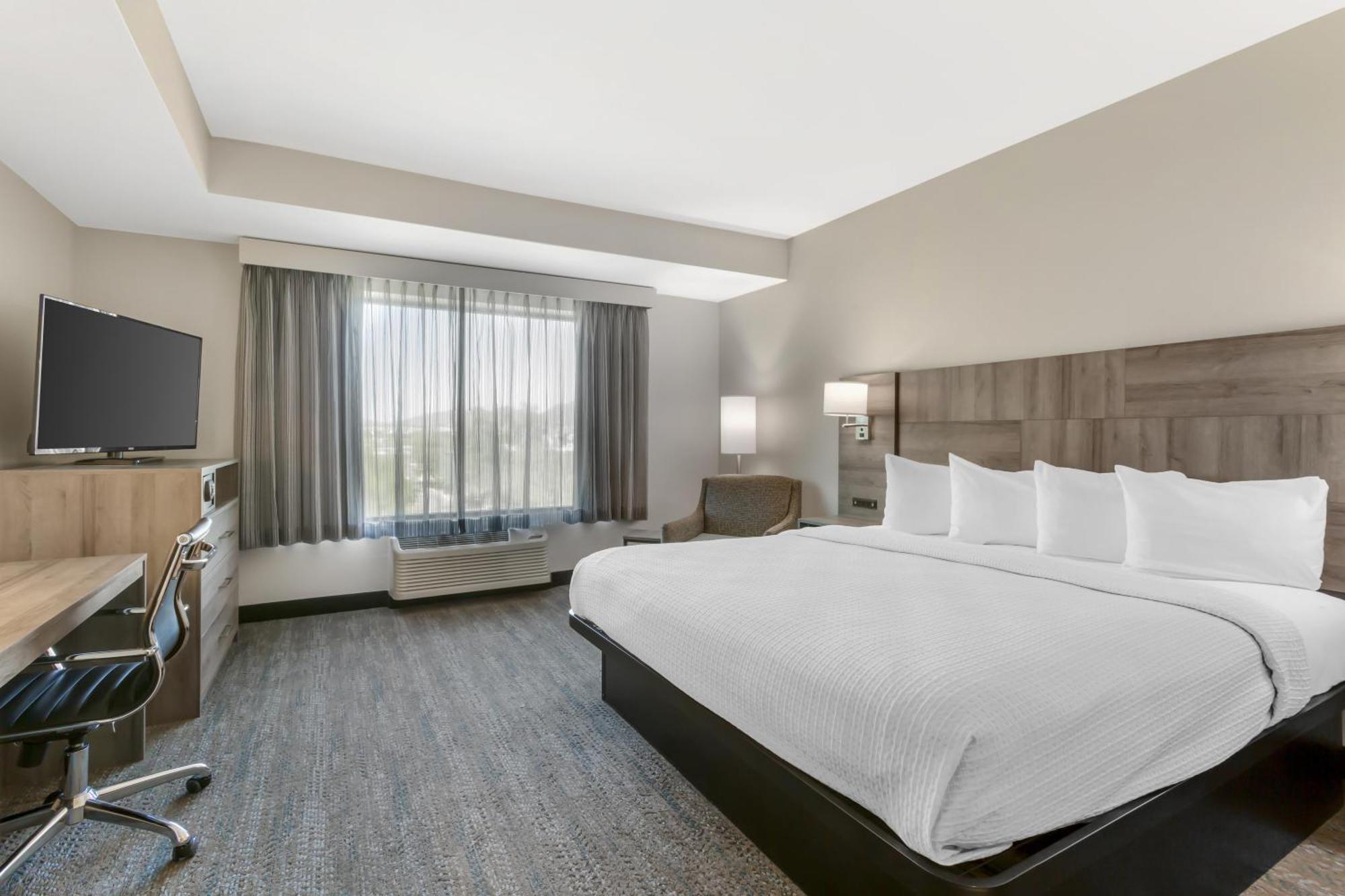 One-Bedroom King Suite Roll Shower Sofa Bed Kitchenette Disability or Non-Smoking,1724717606:JPEG