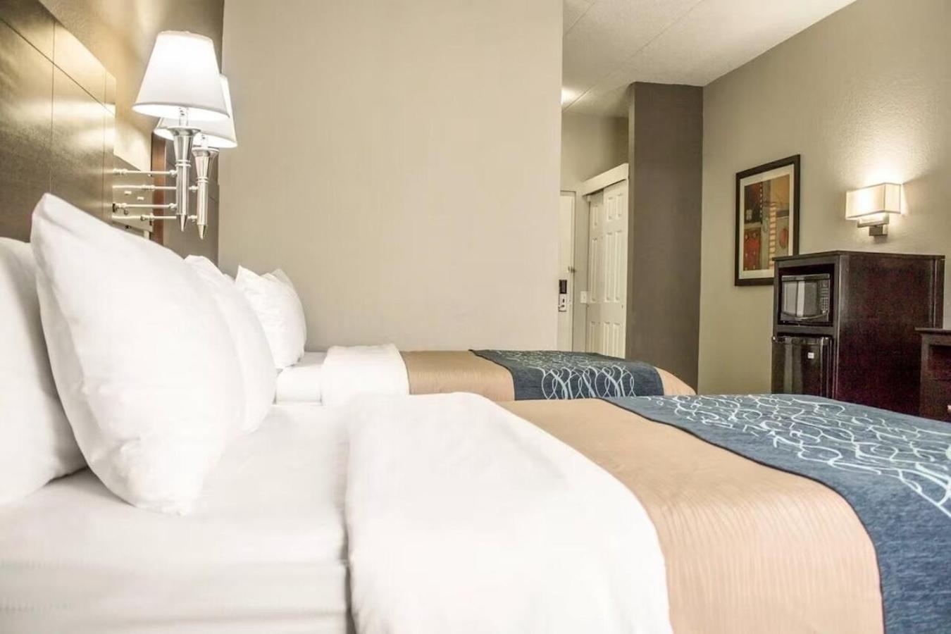 Standard Double Room with Two Double Beds - Non-Smoking