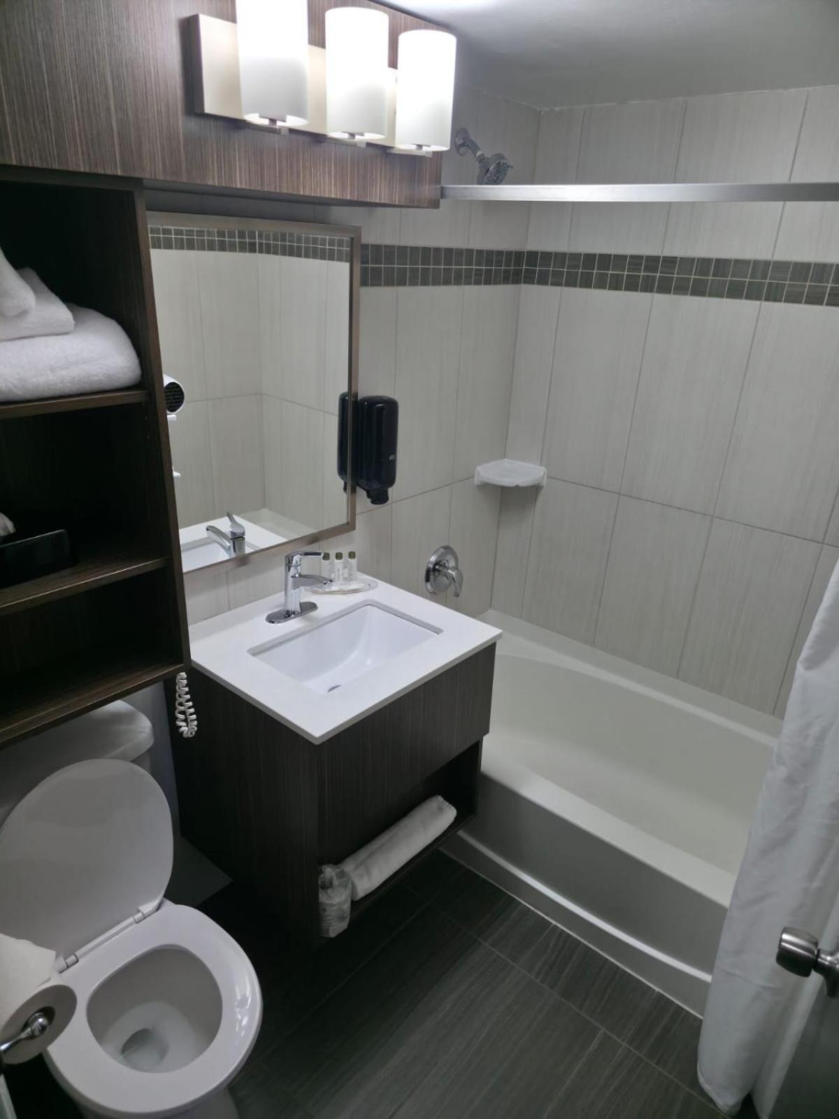 King Room Pet Friendly or Non-Smoking