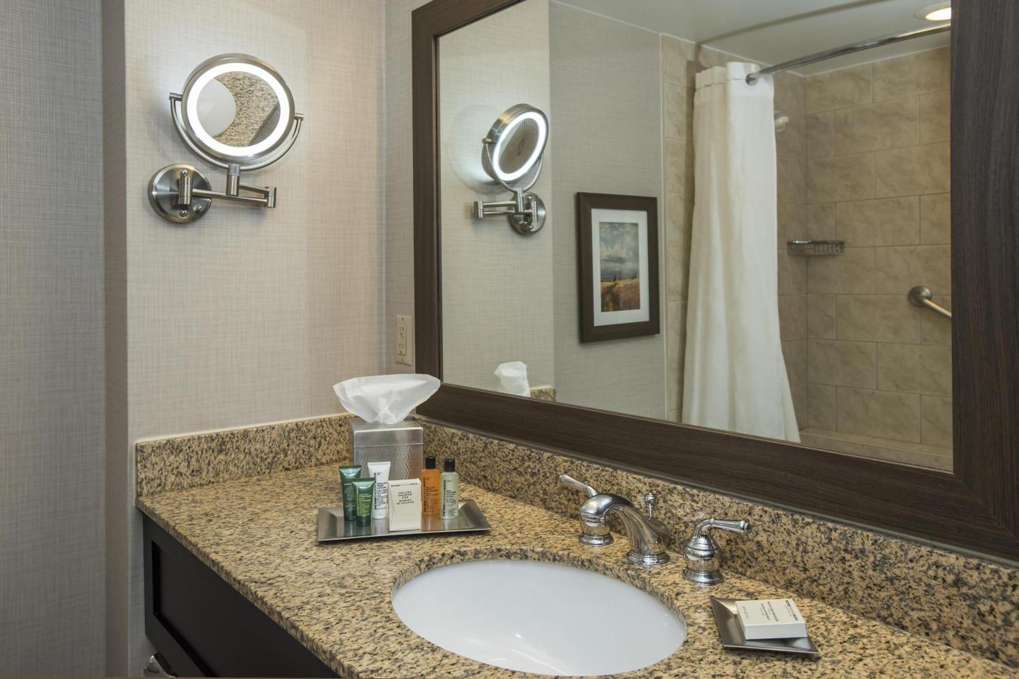 One-Bedroom King Suite