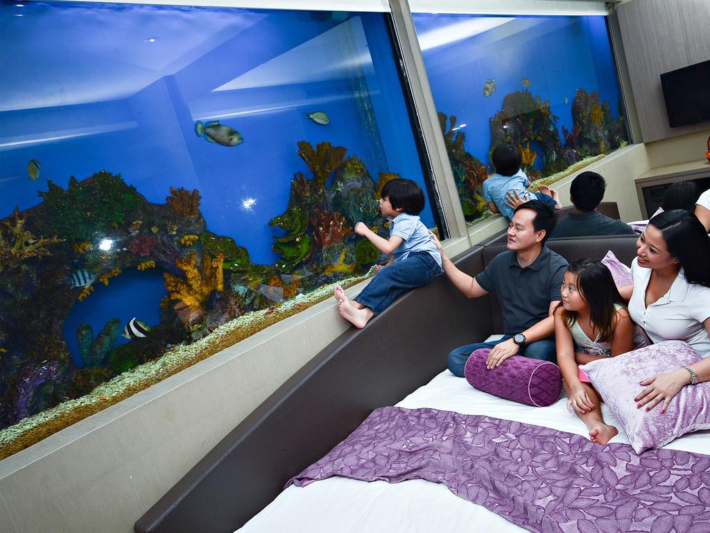 Aqua Double Room