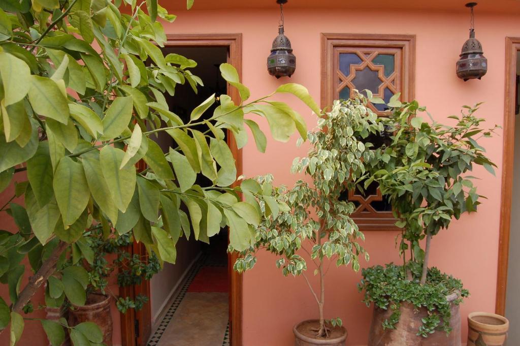 Single Room with Terrace