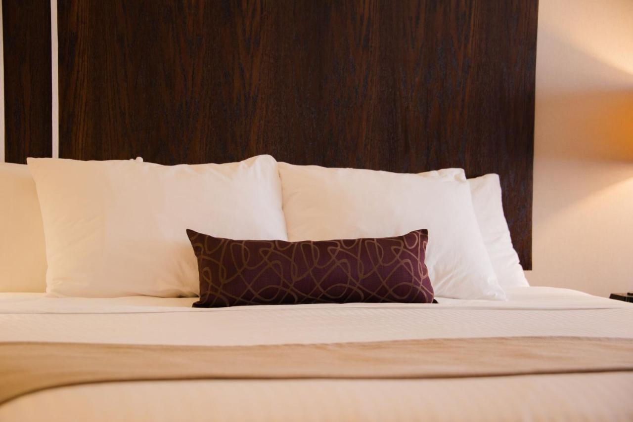 King Room - Pet-Friendly/Non-Smoking