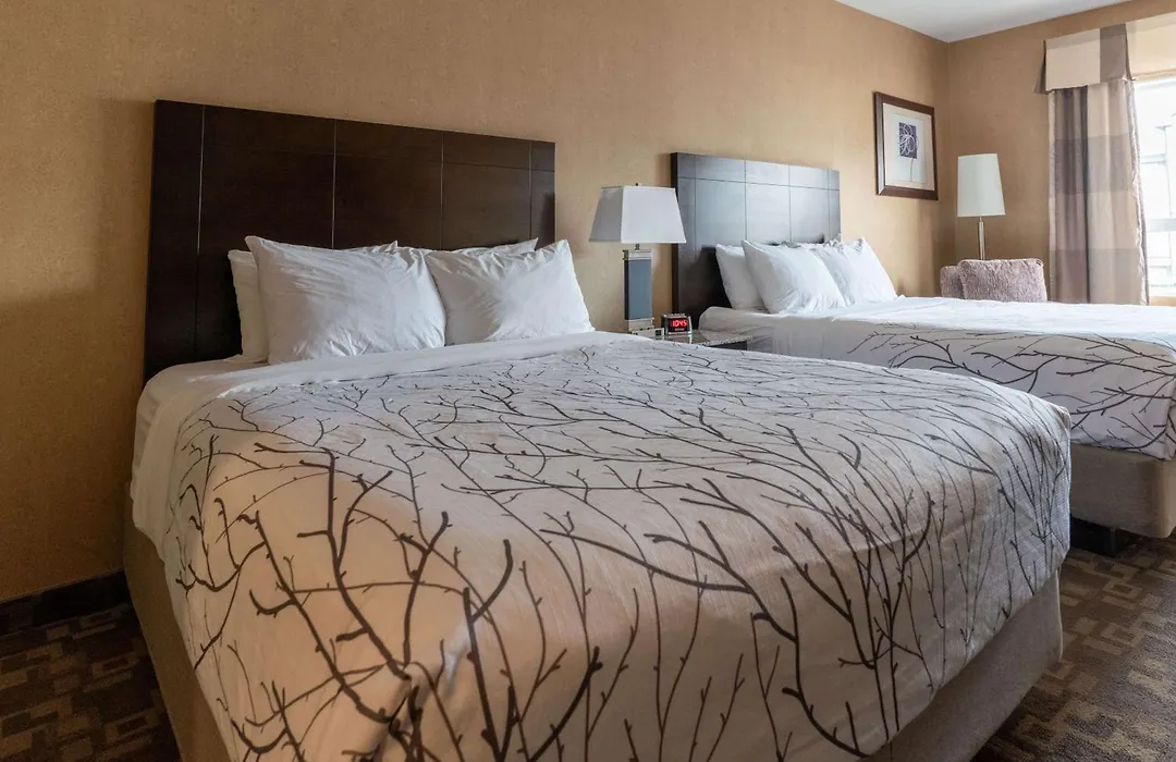 Best Western Plus South Edmonton Inn & Suites-1