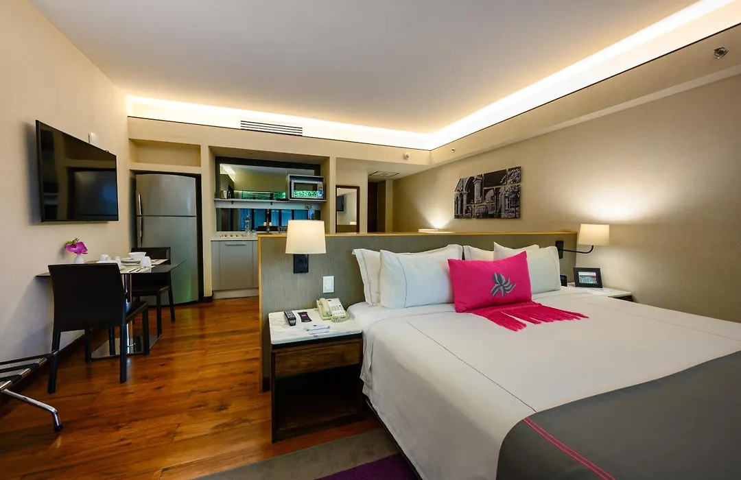 Las Suites Campos Eliseos-1
