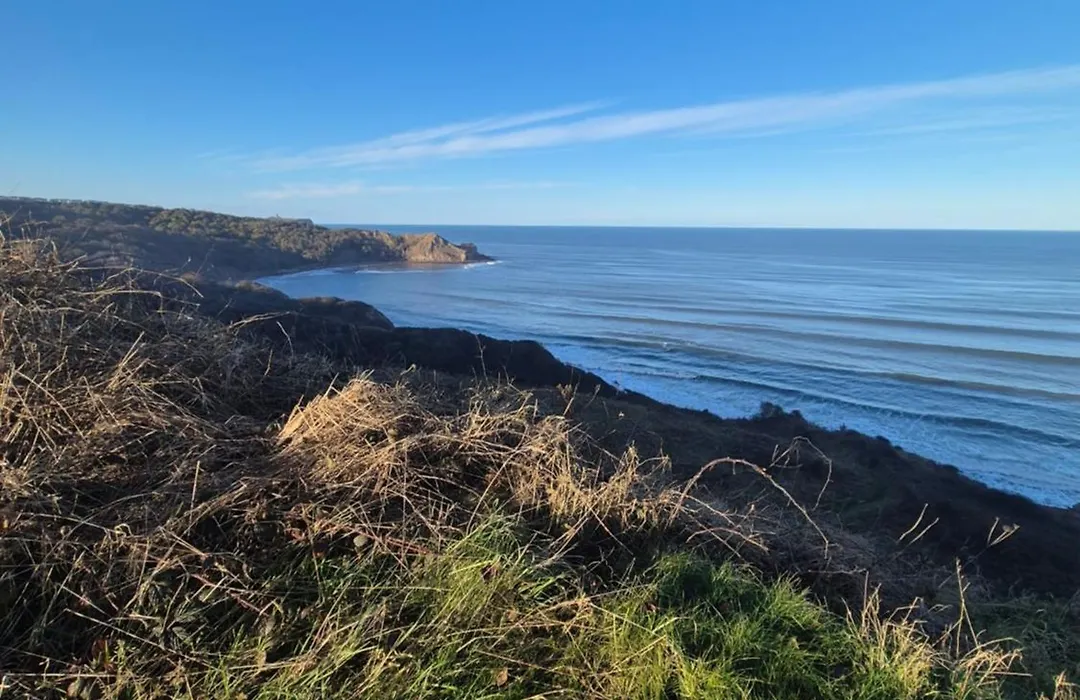 Cayton Bay Gosling 2-1
