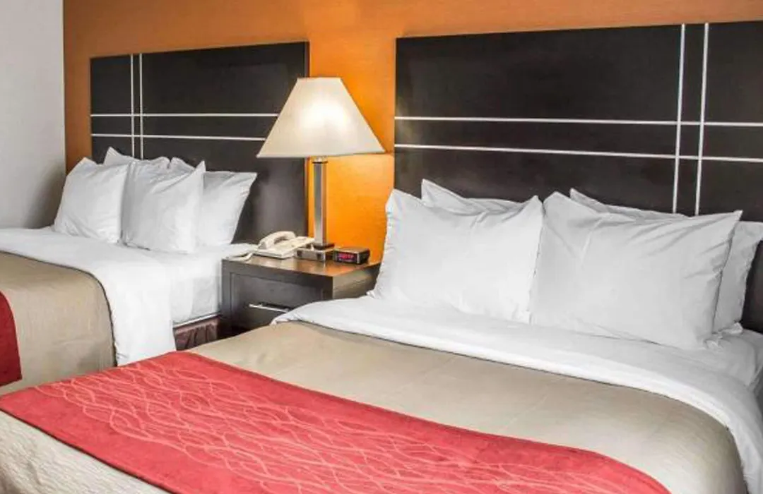 Comfort Inn North-1