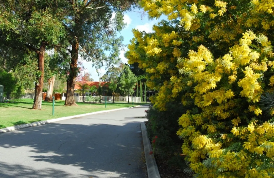 Wattle Grove Motel-1