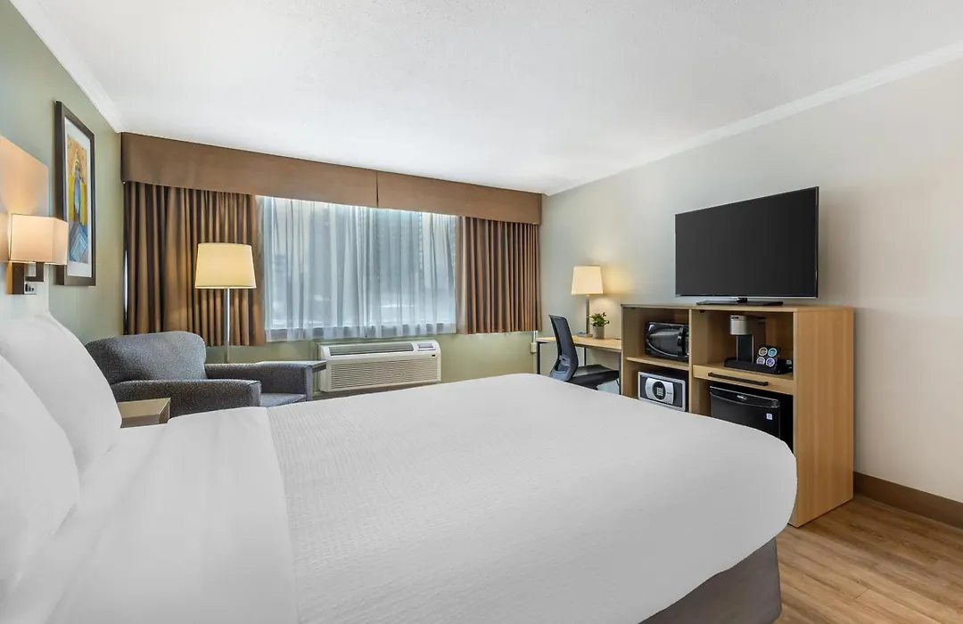 Best Western Plus Ottawa City Centre-1