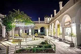 Olive Grove Beachfront-1