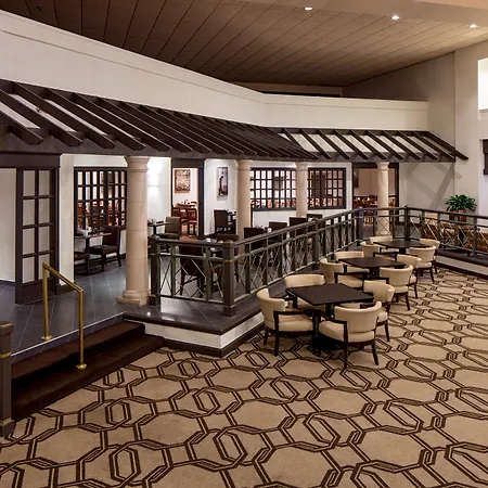 Hilton Houston Galleria Area-2