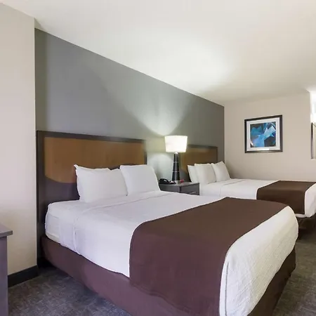 Surestay Plus Hotel By Best Western Houston Medical Center-3