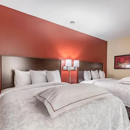 Red Roof Inn Plus & Suites Houston - Iah Airport Sw-2