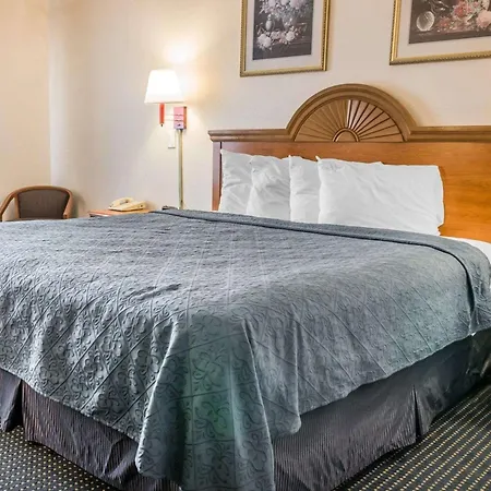 Quality Inn Kalamazoo Near Wings Stadium-2