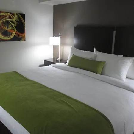 Best Western Harvest Inn & Suites-3