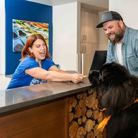 Accent Inns Kamloops-3