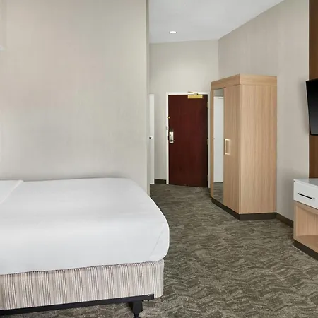 Springhill Suites By Marriott Lansing West-3