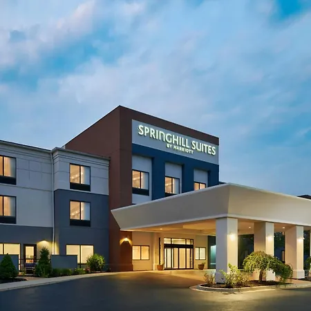 Springhill Suites By Marriott Lansing West-2