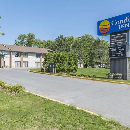 Comfort Inn-3