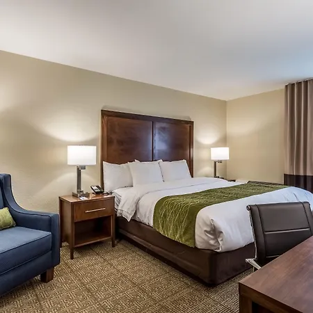 Comfort Inn & Suites Albuquerque Downtown-3