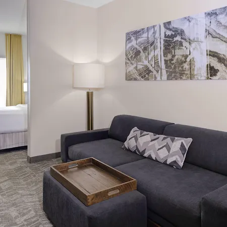 Springhill Suites By Marriott Memphis East Galleria-3