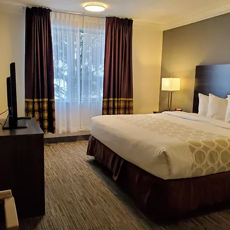 Super 8 By Wyndham Macleod Trail Calgary-2