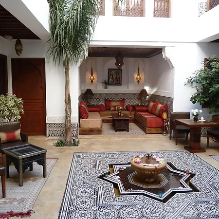 Riad Viva-3