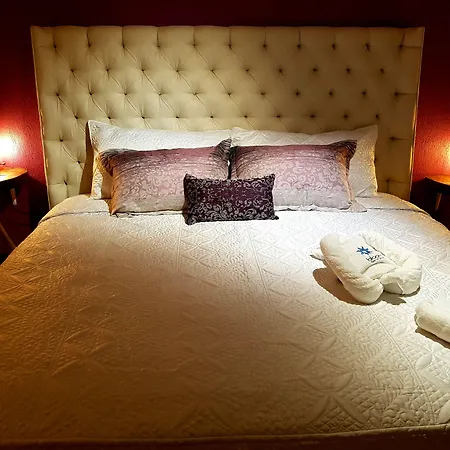 Bloom! Exclusive Boutique B&B (Adults Only)-2