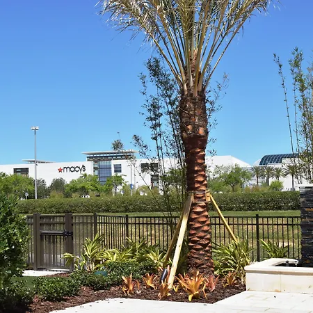 Residence Inn By Marriott Orlando At Millenia-2