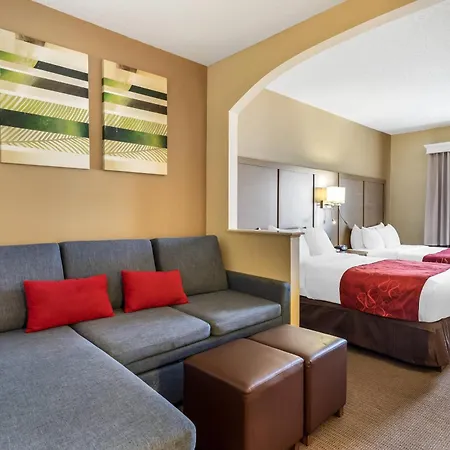 Comfort Suites Bush Intercontinental Airport-2