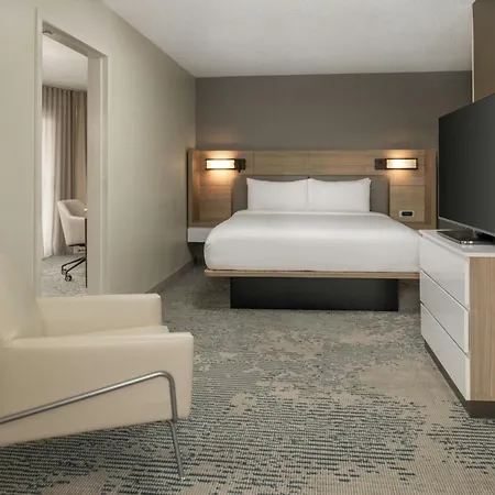Springhill Suites By Marriott New Orleans Warehouse Arts District-3