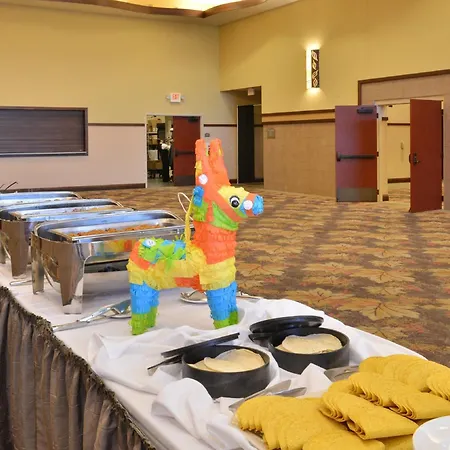 Holiday Inn Stevens Point - Convention Center By Ihg-2