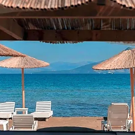 Olive Grove Beachfront-2