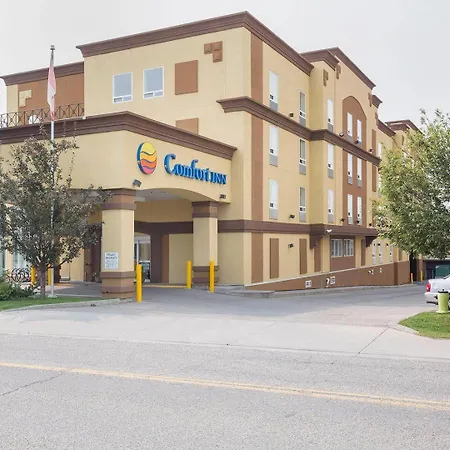 Comfort Inn & Suites Calgary - University-3