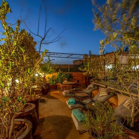 Riad Saba-2