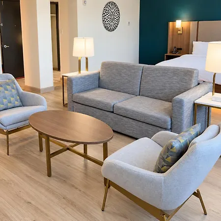 Holiday Inn Houston S - Nrg Area - Med Ctr By Ihg-3