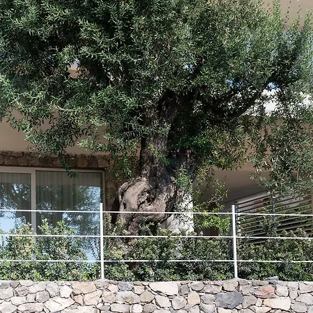Iancu Charme Apartments-3