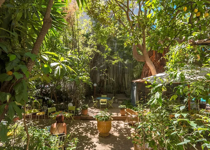 Le Windsor, Jungle Art Hotel Nice