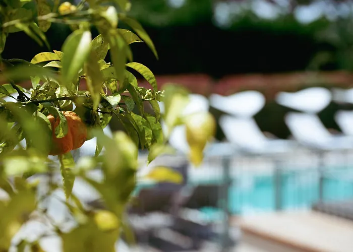 Boutique Hotel Villa Fabulite Antibes