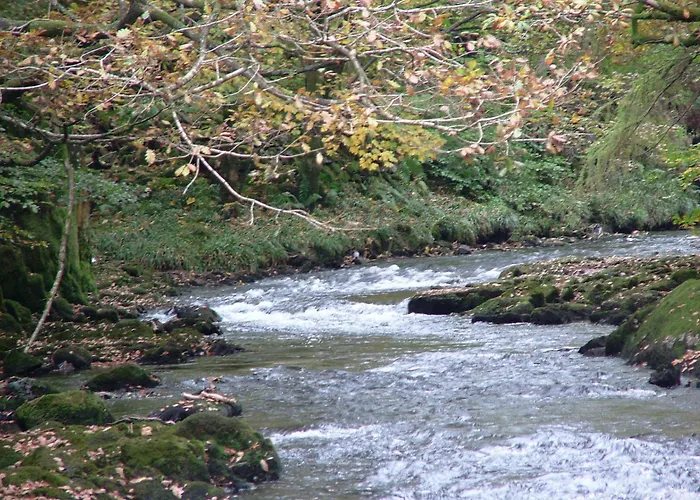 Glencree Bed & Breakfast Windermere