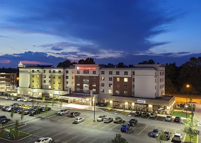 Hilton Garden Inn Rochester - University & Medical Center