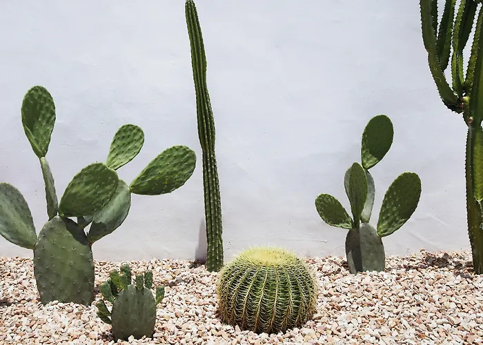 Tessa'S On The Beach Gold Coast
